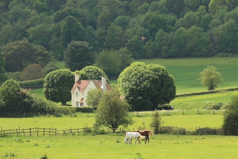 What is an equestrian property? A guide for buyers Parkers