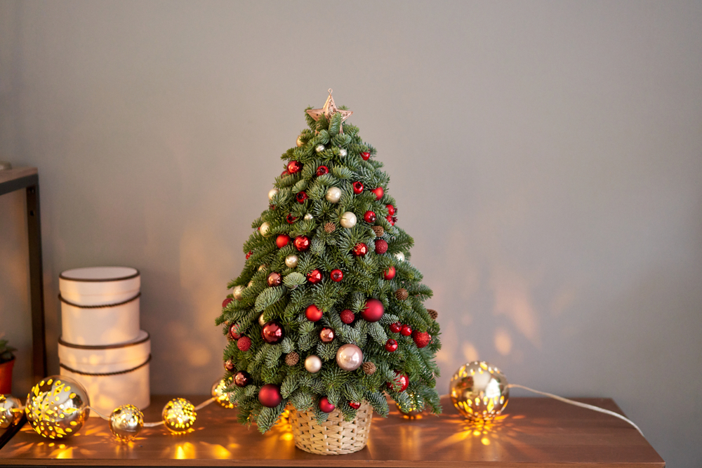 Beautiful small Christmas tree on wooden table.