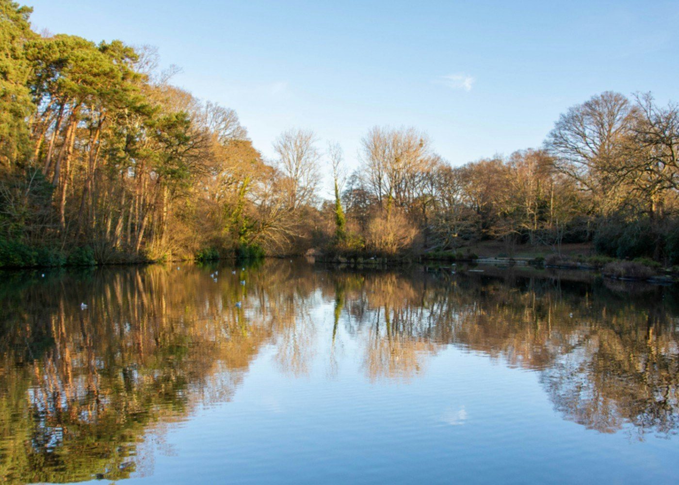 Chandlers Ford header image