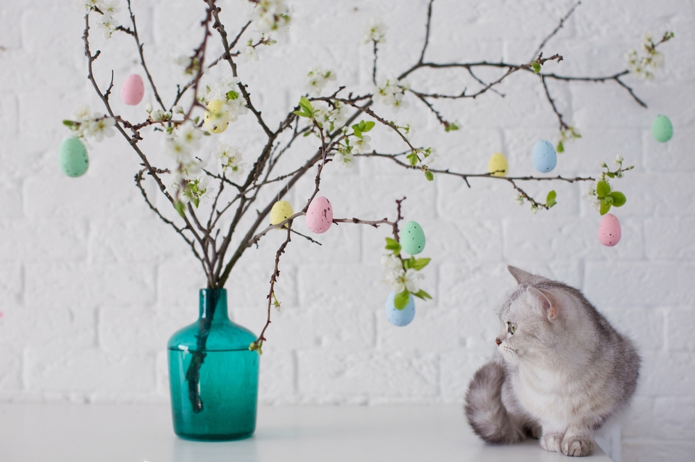 Grey cat playing with small Easter eggs.