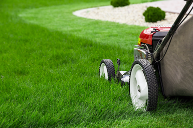 MAC How to get your buy to let property ready for summer