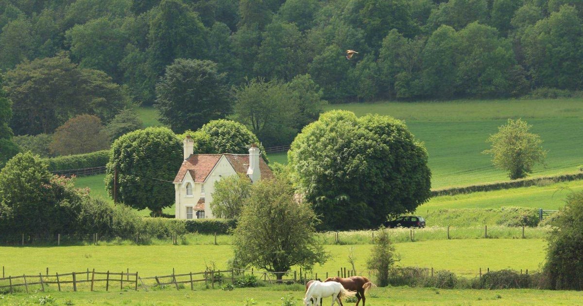 What is an equestrian property? A guide for buyers Parkers